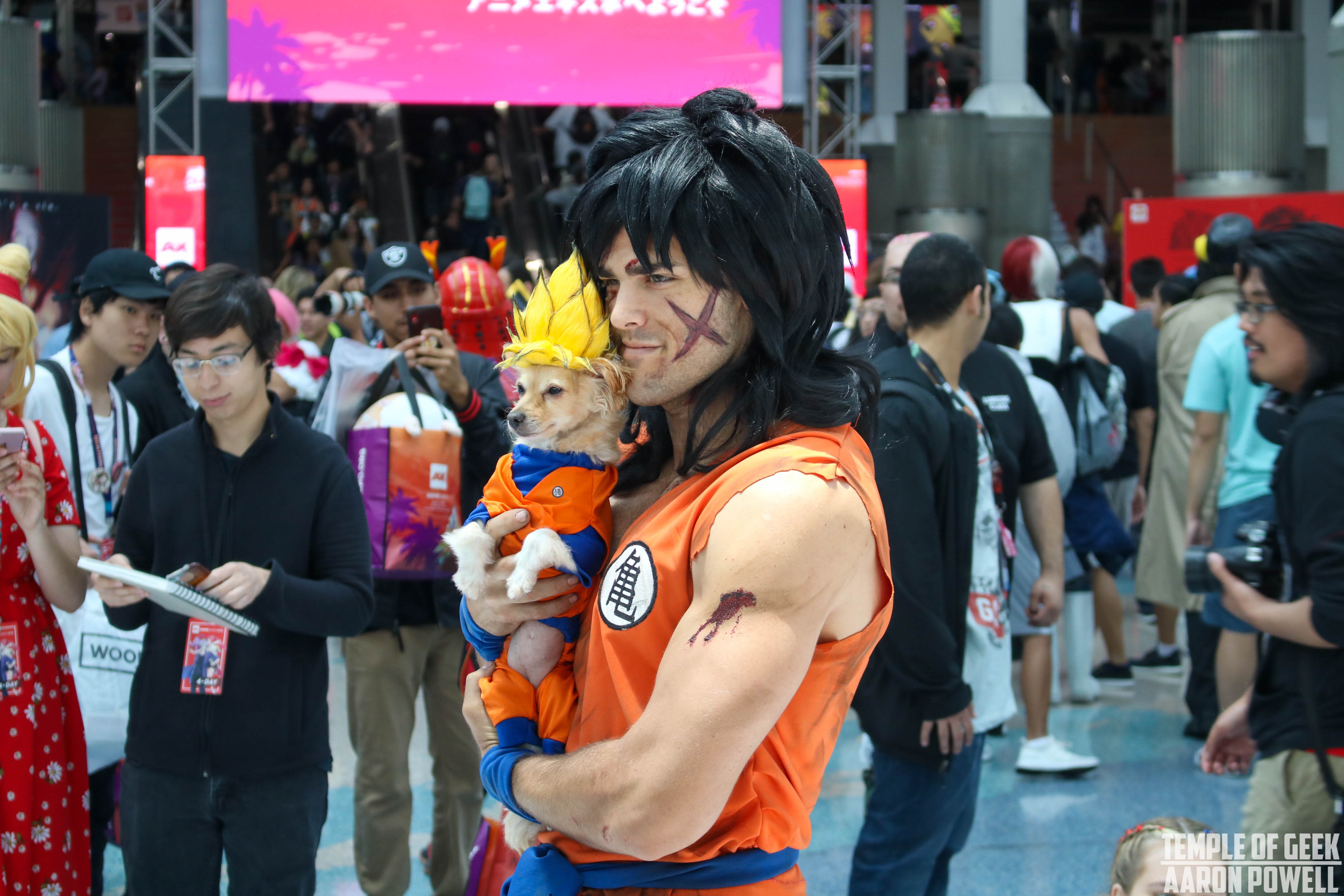 Anime cosplay conventions 2019 near me