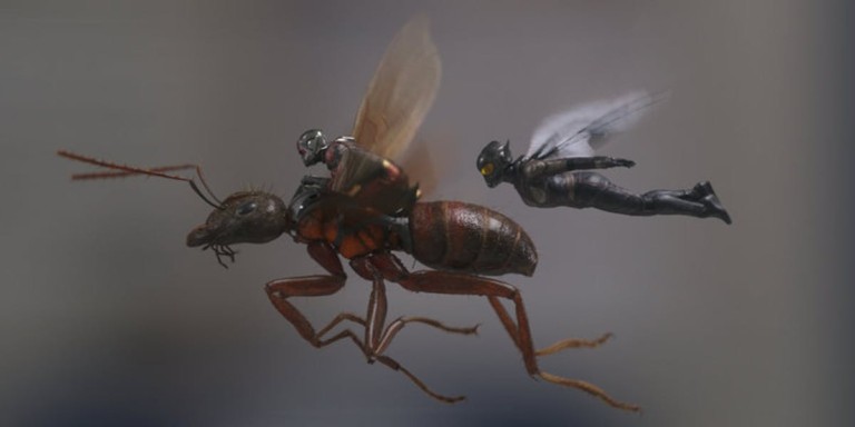 Temple of Geek reviews Ant-Man and the Wasp