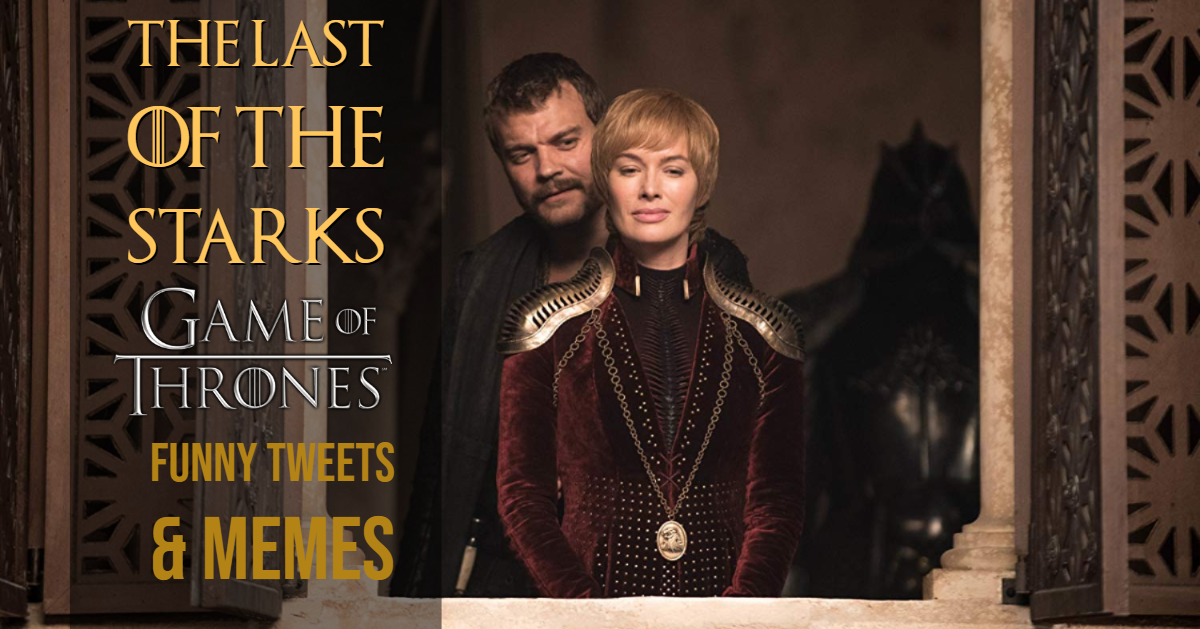 Game of Thrones Funny Memes & Tweets “The Last of The Starks”