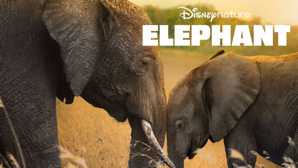 Disneynature, Earth Day