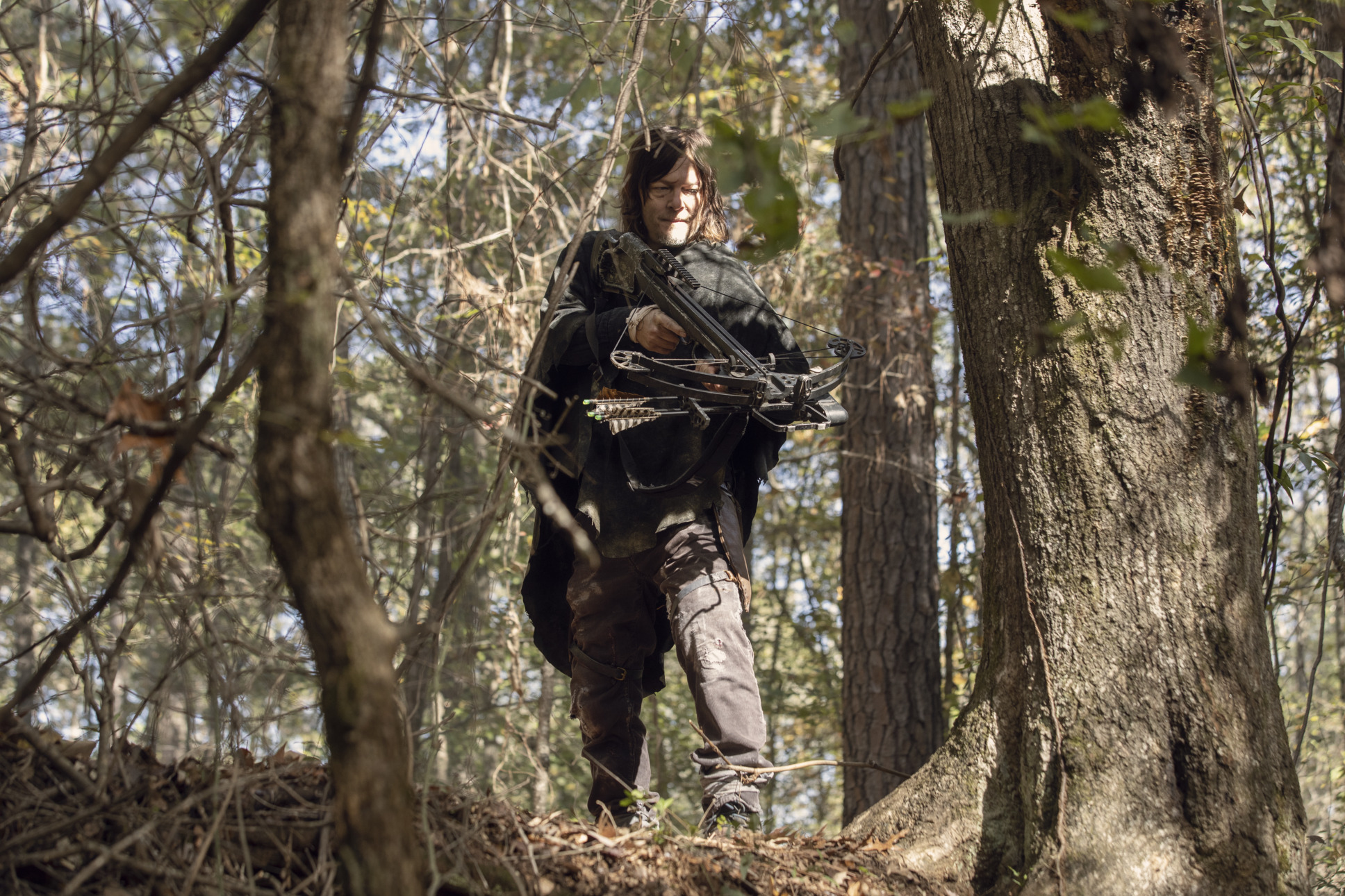 Comic Con panel: In a scene from The Walking Dead Season 10, Norman Reedus as Daryl Dixon is standing alone in a woodland/forest area. He is standing at higher ground, pointing his crossbow at someone below him.