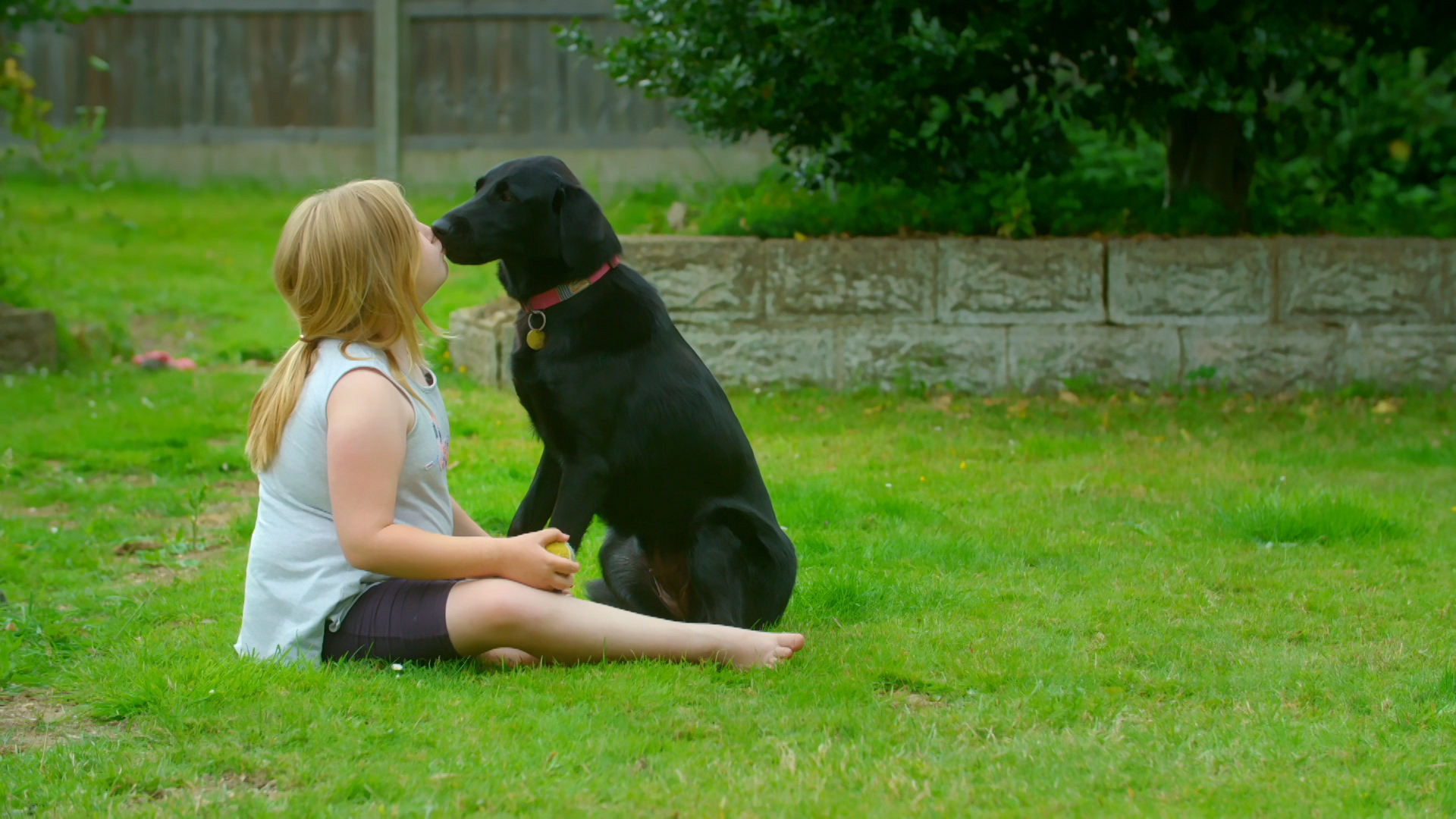 The Dog House: UK child with dog