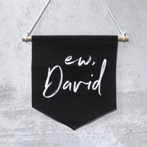 Black pin banner with white words that say Ew, David