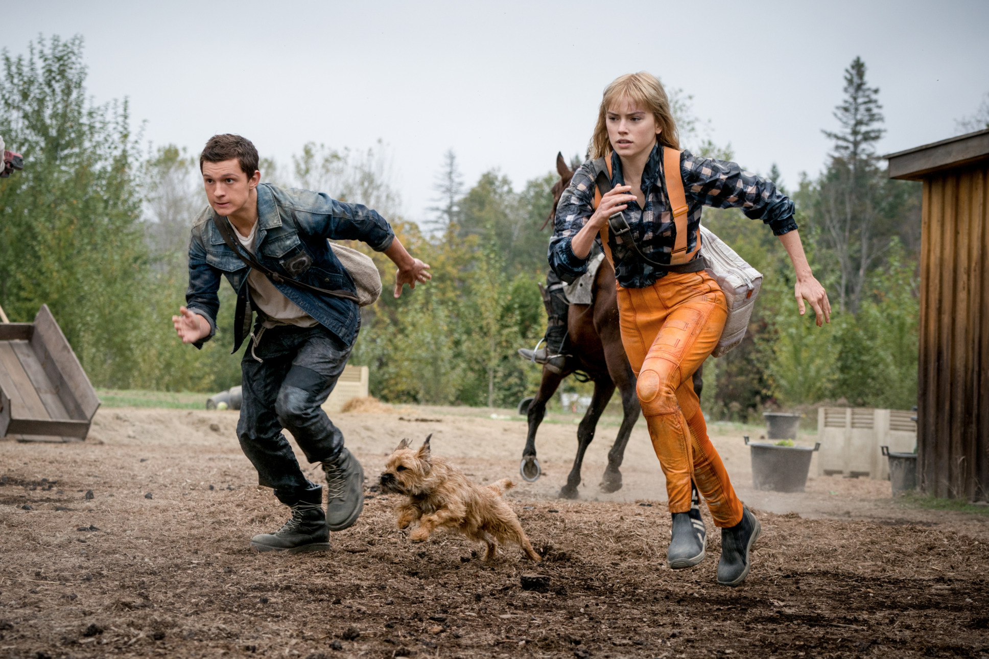 Tom Holland, small dog, and Daisy Ridley in Chaos Walkinga