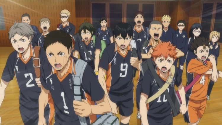 Karasuno high school team from the anime "haikyu!!"