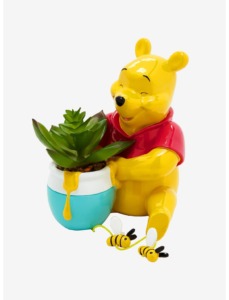 Winnie the Pooh succulent 