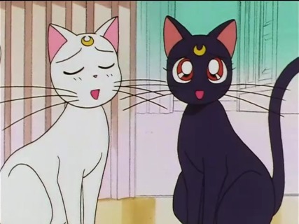 Luna and Artemis in their cat forms in Sailor Moon.