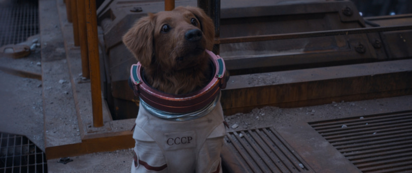 Meet Cosmo The Space Dog at San Diego Comic-Con