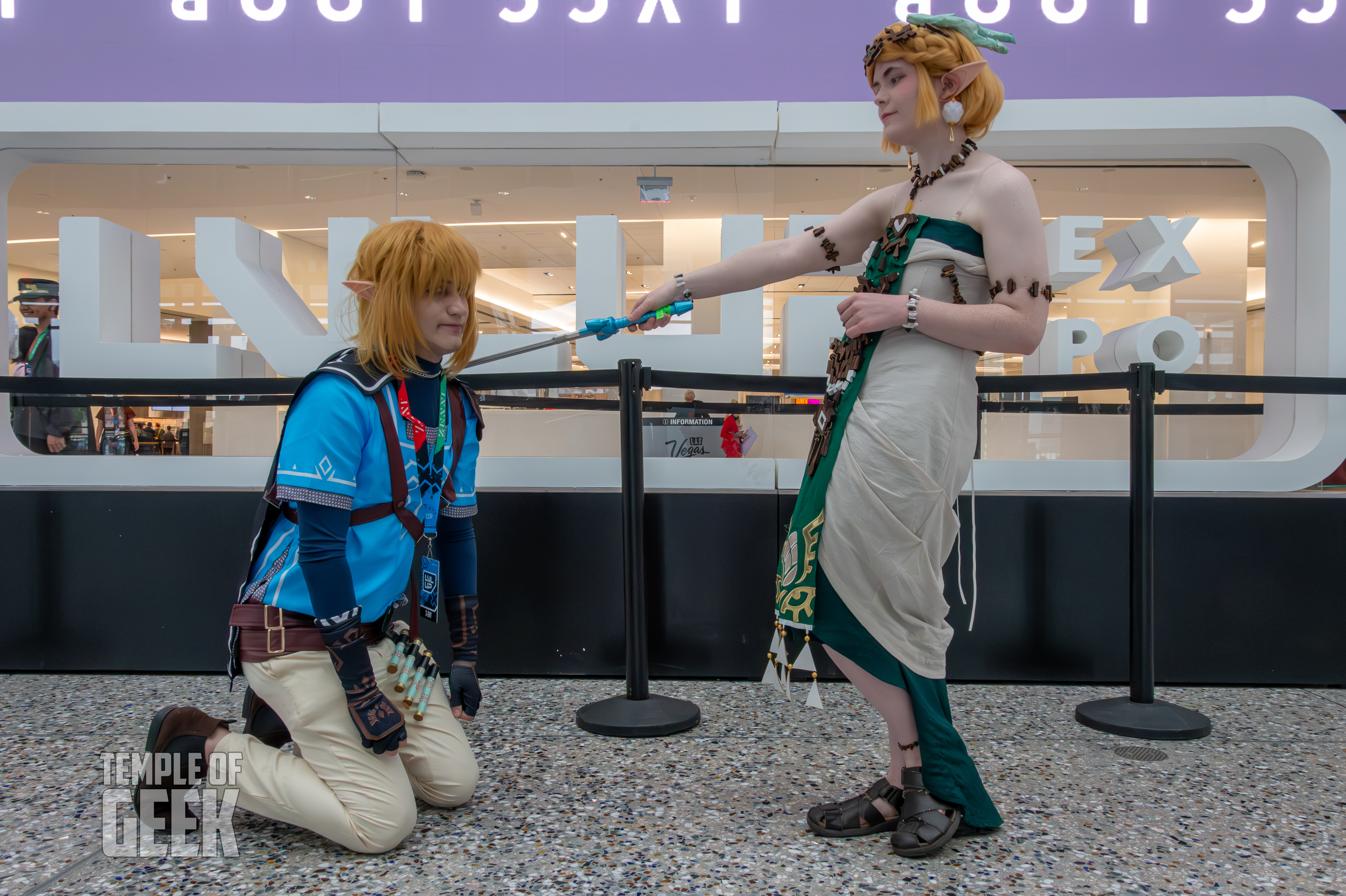 Cosplayers at a Legend of Zelda meetup inside the convention center