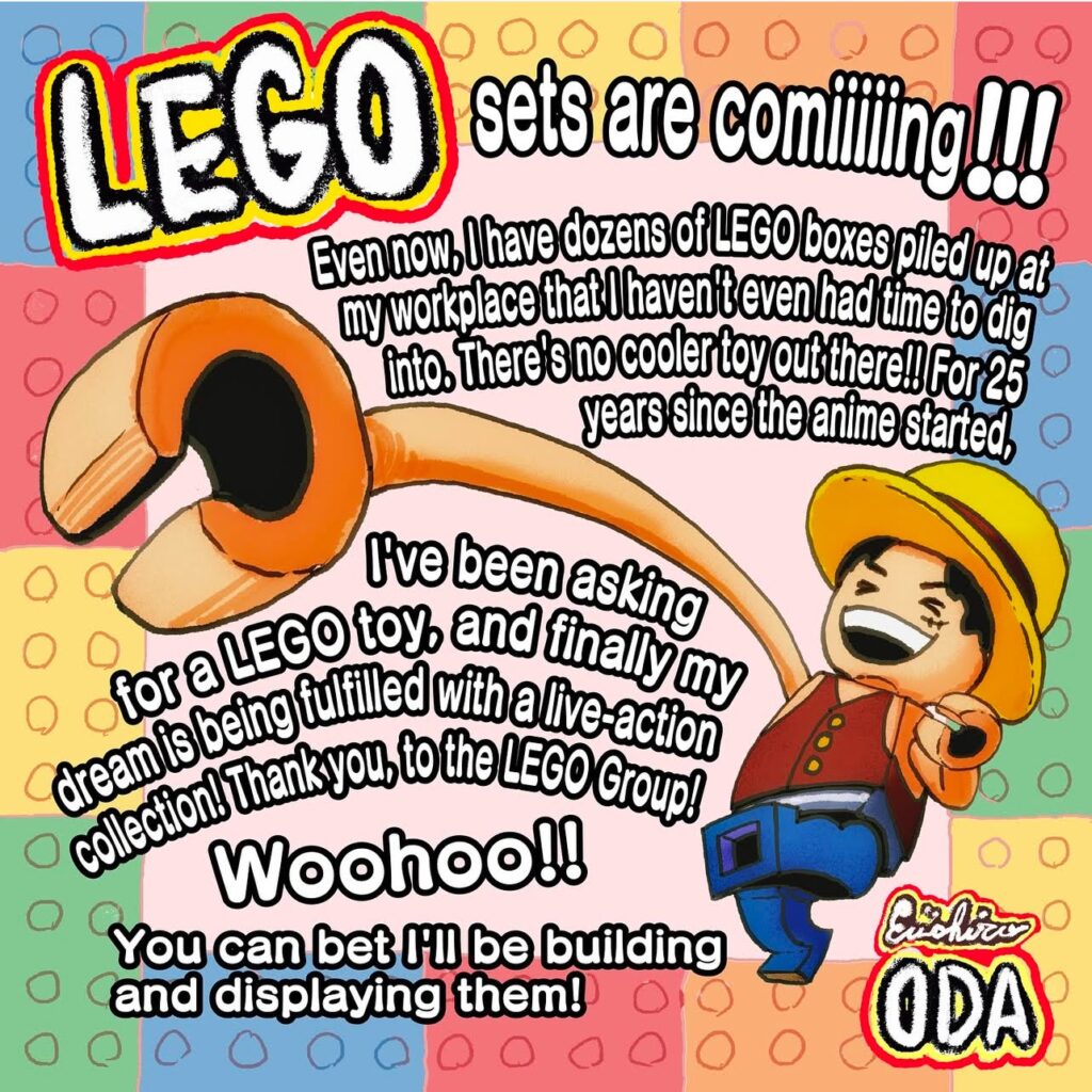 one piece lego