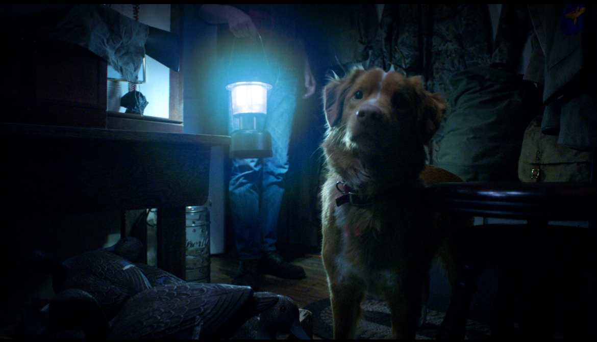 Indy the dog stares forward. The bottom half of his owner is behind him, holding a lantern.